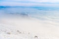 Horses in the mountains are looking for food under the snow. Royalty Free Stock Photo