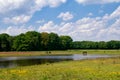 Horses in a nature reserve near Arcen