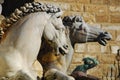 Horses from Neptune Statue, Florence 1 Royalty Free Stock Photo