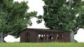 Horses in a old wooden barn between trees