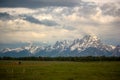 Horses in Pasture in Front of Grand Teton Mountains at Sunrise