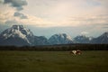 Horses in Pasture in Front of Grand Teton Mountains at Sunrise