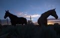 Horses in pasture at sunset Royalty Free Stock Photo