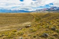 Horses in Patagonian plains
