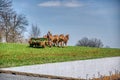 4 Horses Pulling an Antique Amish Manure Spreader so Farmer can Fertilize the Field on a Blue Sky Day