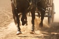 Horses Pulling Wagon Royalty Free Stock Photo