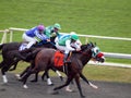 Horses Race Towards the Finish Line at Golden Gate Fields