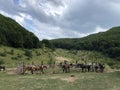 Horses ready for mountain horse ride. Royalty Free Stock Photo