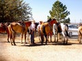 Horses and Riders, Bryce Canyon City, Utah Royalty Free Stock Photo