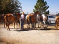 Horses and Riders, Bryce Canyon City, Utah Royalty Free Stock Photo