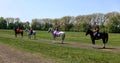 Horses with riders in national clothes stand in the row on the field Royalty Free Stock Photo