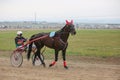 Yadrin, Chuvashia, Russia - August 13, 2022 : Horses and riders running at horse races