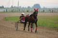 Yadrin, Chuvashia, Russia - August 13, 2022 : Horses and riders running at horse races