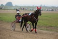 Yadrin, Chuvashia, Russia - August 13, 2022 : Horses and riders running at horse races