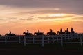 Horses Riders Silhouetted Morning