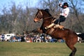 Horses Rodeo argentina gauchos sport Royalty Free Stock Photo