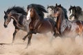 Horses run fast Royalty Free Stock Photo