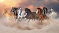 Horses run free Royalty Free Stock Photo