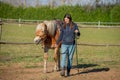 Horses run free Royalty Free Stock Photo