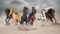 Horse herd free run Royalty Free Stock Photo