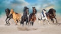 Six horse run in sandy desert