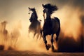 Horses run gallop in the sand in the desert at sunset Royalty Free Stock Photo