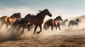 Horses run gallop in the sand dunes of the desert Royalty Free Stock Photo