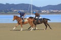 Horses running along the beach with the mountains and the sea in the background. They are mounted by two riders.