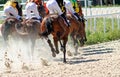 Horses running at the sandy track