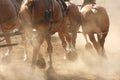 Horses Running through Field