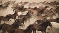 Horses running and kicking up dust. Yilki horses in Kayseri Turkey are wild horses with no owners