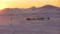 Horses Running on Snow Field During the Sunrise in Inner Mongolia, China Royalty Free Stock Photo