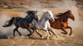 Horses running wildly in desert dust Royalty Free Stock Photo