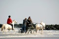 Horses through the sea Royalty Free Stock Photo