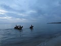 Horses in the sea in twilight evening. Thassos. Greece.