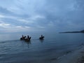 Horses in the sea in twilight evening. Thassos. Greece.