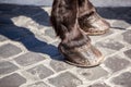 Horses shod hoof cobblestone