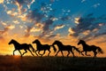 Silhouettes of herd of horses galloping across field at sunset Royalty Free Stock Photo