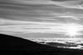 Horses silhouettes on a mountain over a sea of fog Royalty Free Stock Photo