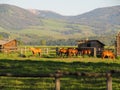 Horses and a stable with a backdrop of mountains. Shot at the Grand Teton National Park, US Royalty Free Stock Photo