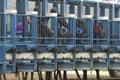 Horses in starting gate Royalty Free Stock Photo