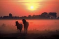Cavalli alba nebbia 
