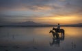 Horses and sunset on the lake
