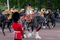 Horses taking part in the Trooping the Colour military parade, London UK Royalty Free Stock Photo