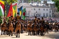 Horses taking part in the Trooping the Colour military parade at Horse Guards, Westminster, London UK Royalty Free Stock Photo