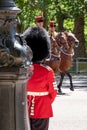 Horses taking part in the Trooping the Colour military parade at Horse Guards, Westminster, London UK Royalty Free Stock Photo