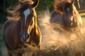 horses teeth grinding hay with blurred background