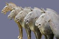 Horses of the Terracotta Warriors Royalty Free Stock Photo