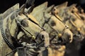 Horses of the Terracotta Warriors Army in Xian, Republic of China, Asia Royalty Free Stock Photo