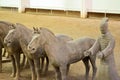 Horses of the Terracotta Warriors of Qin Shi Huang, Xian, Shaanxi, China Royalty Free Stock Photo